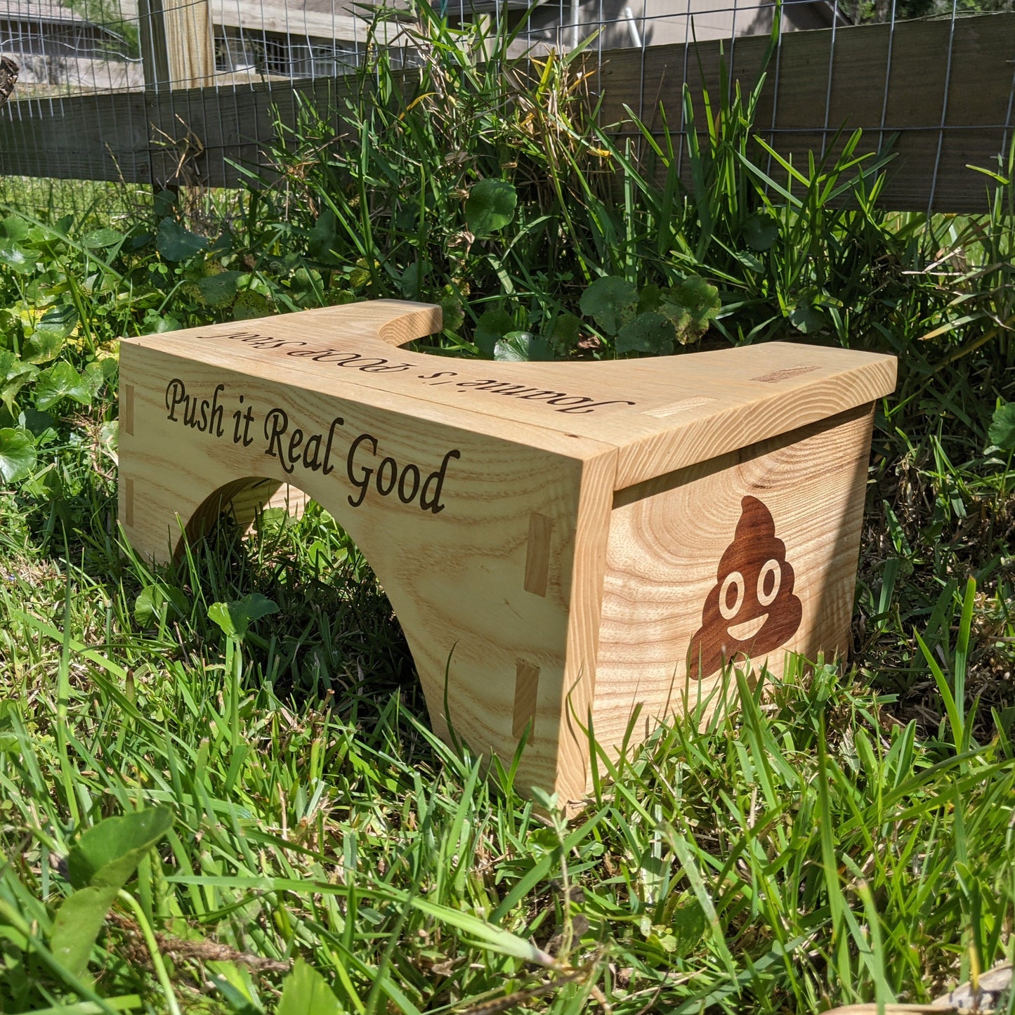 Pooping Stool