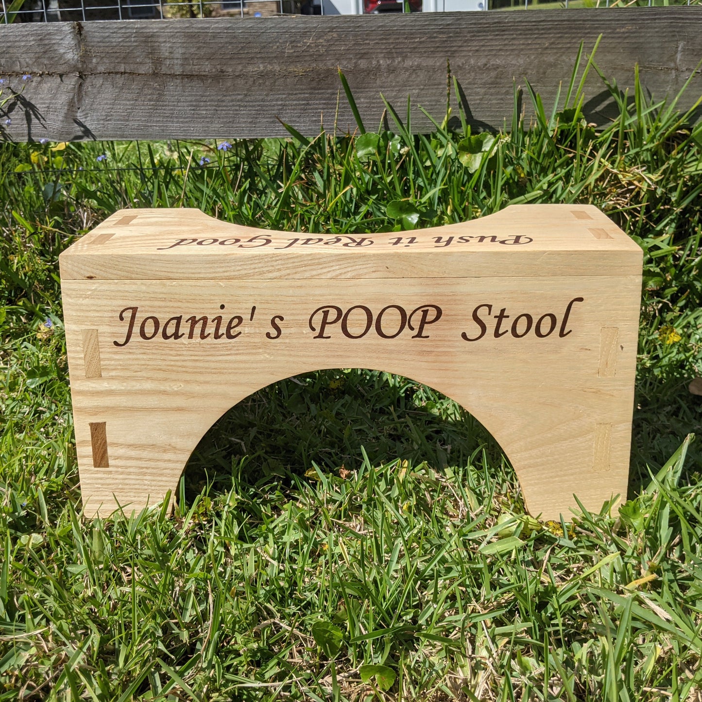 Pooping Stool