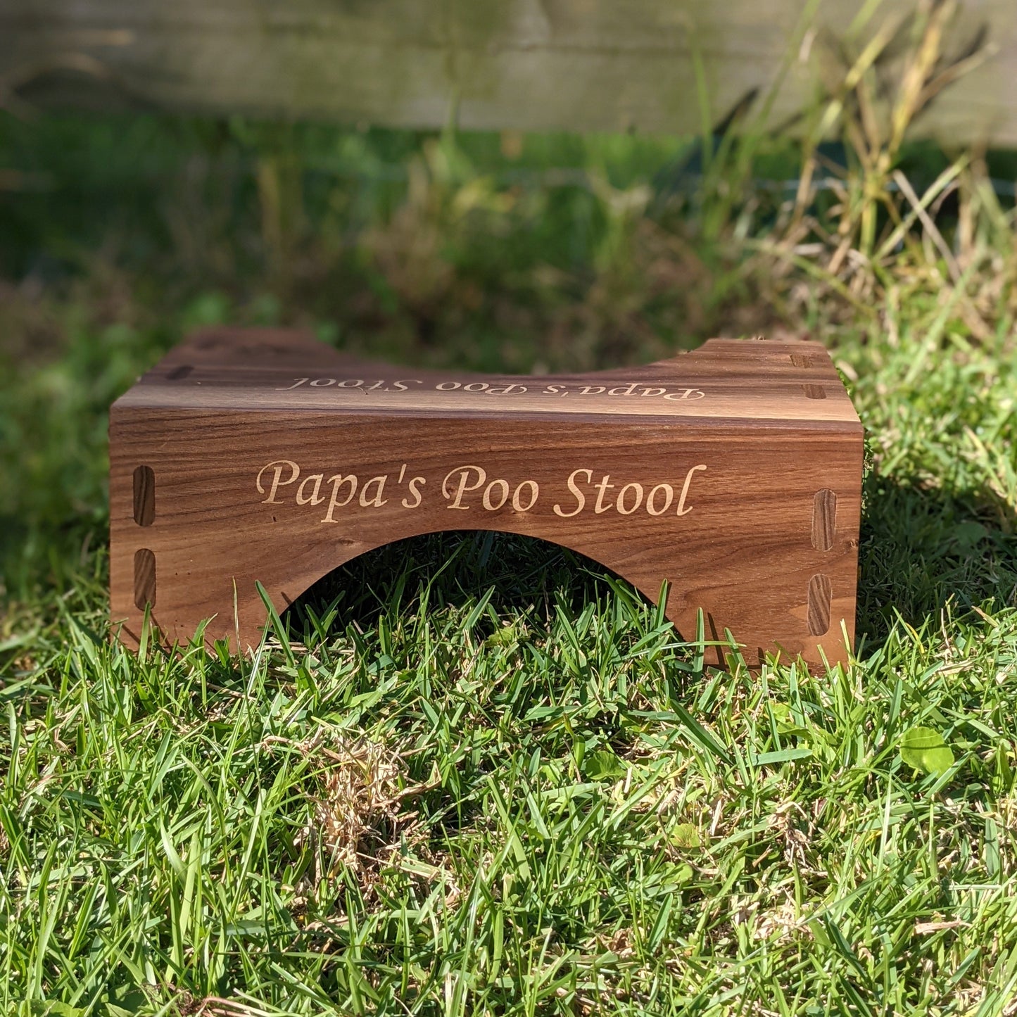 Pooping Stool