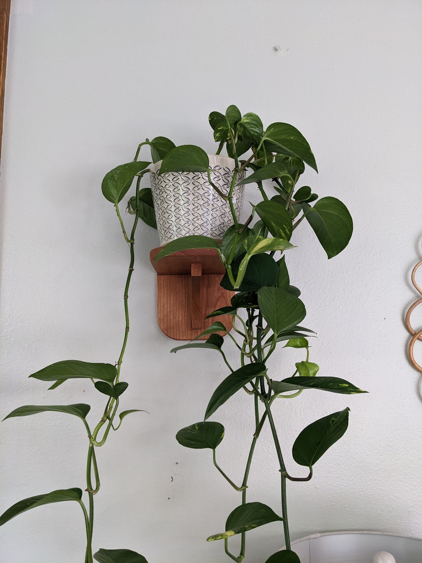 Floating Plant shelf